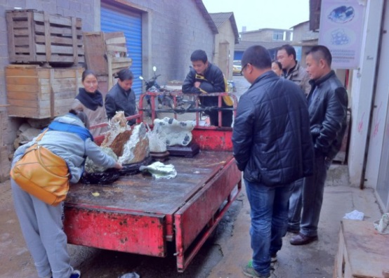 长沙市谭力矿产品有限公司,长沙矿产品销售,工艺品销售,钻石饰品批发 长沙市谭力矿产品有限公司,长沙矿产品销售,工艺品销售,钻石饰品批发